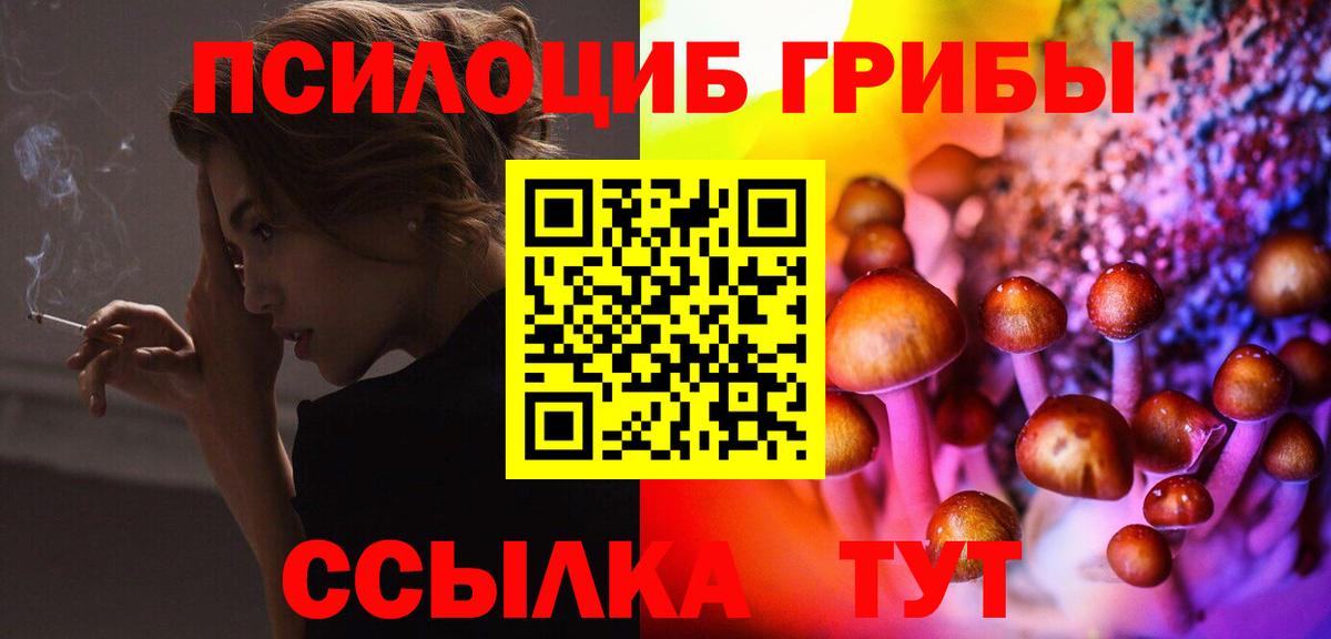 Ижевск  Галлюциногенные грибы Psilocybe  Вход с VPN 